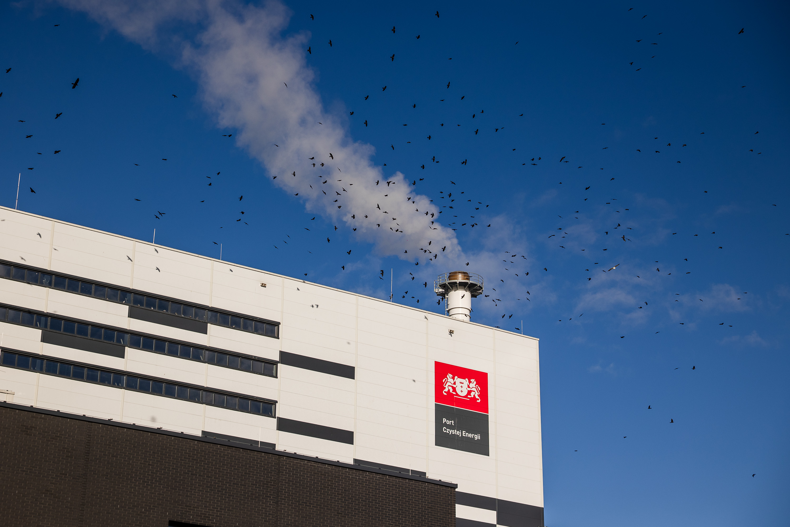 Port Czystej Energii w Gdańsku ma za sobą pierwszy rok pracy