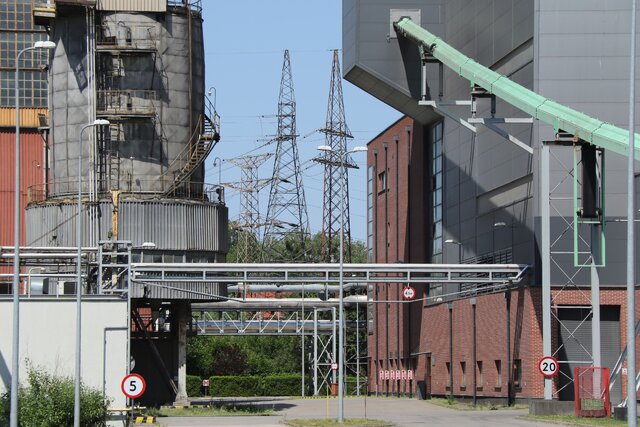 Energa Kogeneracja prowadzi postępowanie przetargowe na dostawy biomasy do Elektrociepłowni w Elblągu oraz Żychlinie